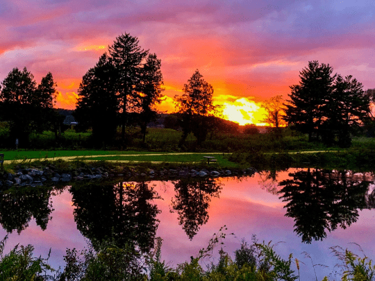 Cross Plains, WI